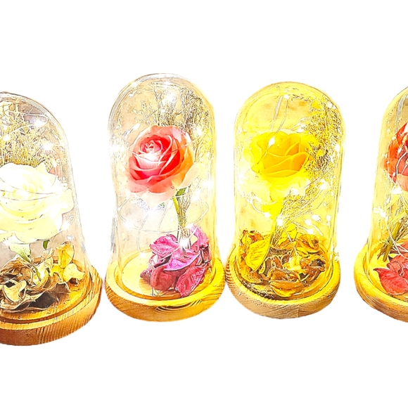 Silk Rose real preserved rose petals with Led Light String batteries Included - Picture 7 of 16